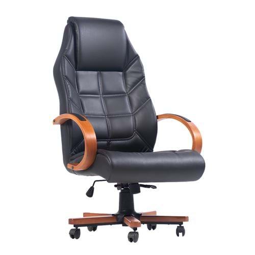 Uzay Ofis Elisa Müdür Koltuğu