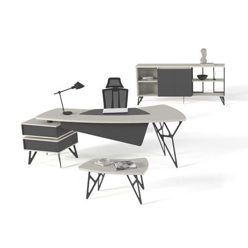 Uzay Ofis Elegan Yönetici Takımı